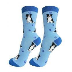 Border Collie Socks