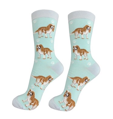 Cavalier King Charles Socks