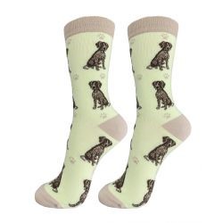 German Shorthaired Pointer Socks