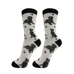 Labrador Retriever-Black-Socks