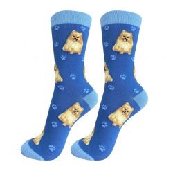 Pomeranian Socks