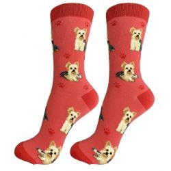 Yorkshire Terrier Socks