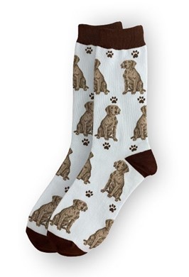 Weimaraner Socks