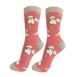 Shih Tzu-Tan and White-Socks