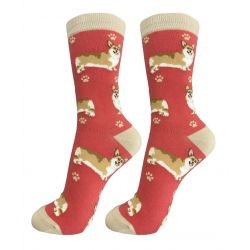 Pembroke Welsh Corgi Socks