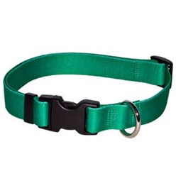 Solid Color Collar- click for more colors