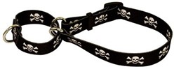 Skull Print Martingale Collar- click for more colors