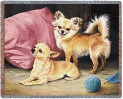 Chihuahua Throw Blanket, Made in the USA