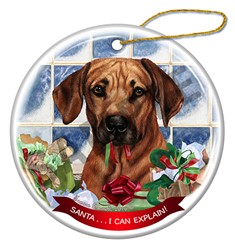 Rhodesian Ridgeback Santa I Can Explain Dog Christmas Ornament